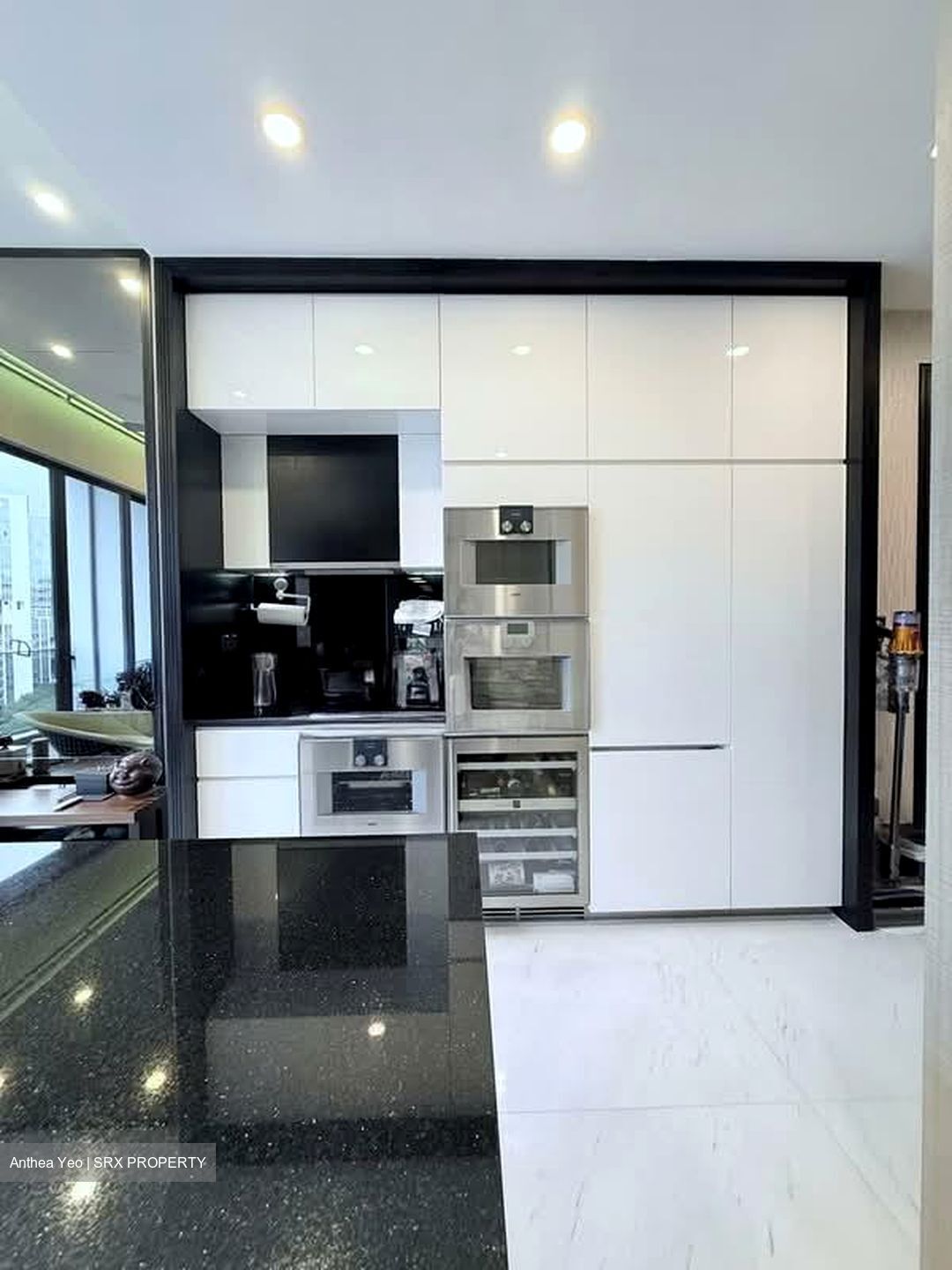 Amber Park (D15), Condominium #567736831